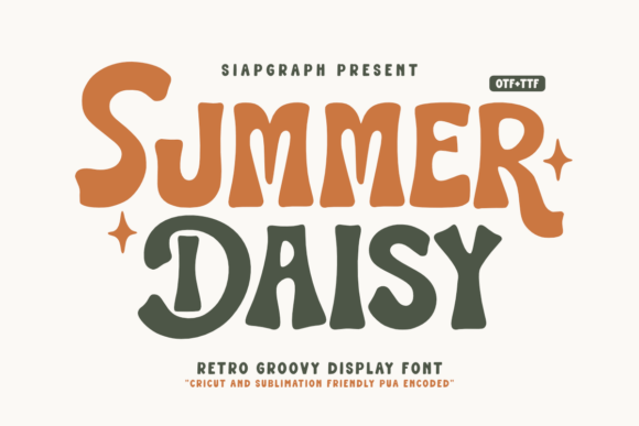 Summer Daisy: A Retro Display Font for Bold Brands